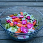 Colorful Salad_5
