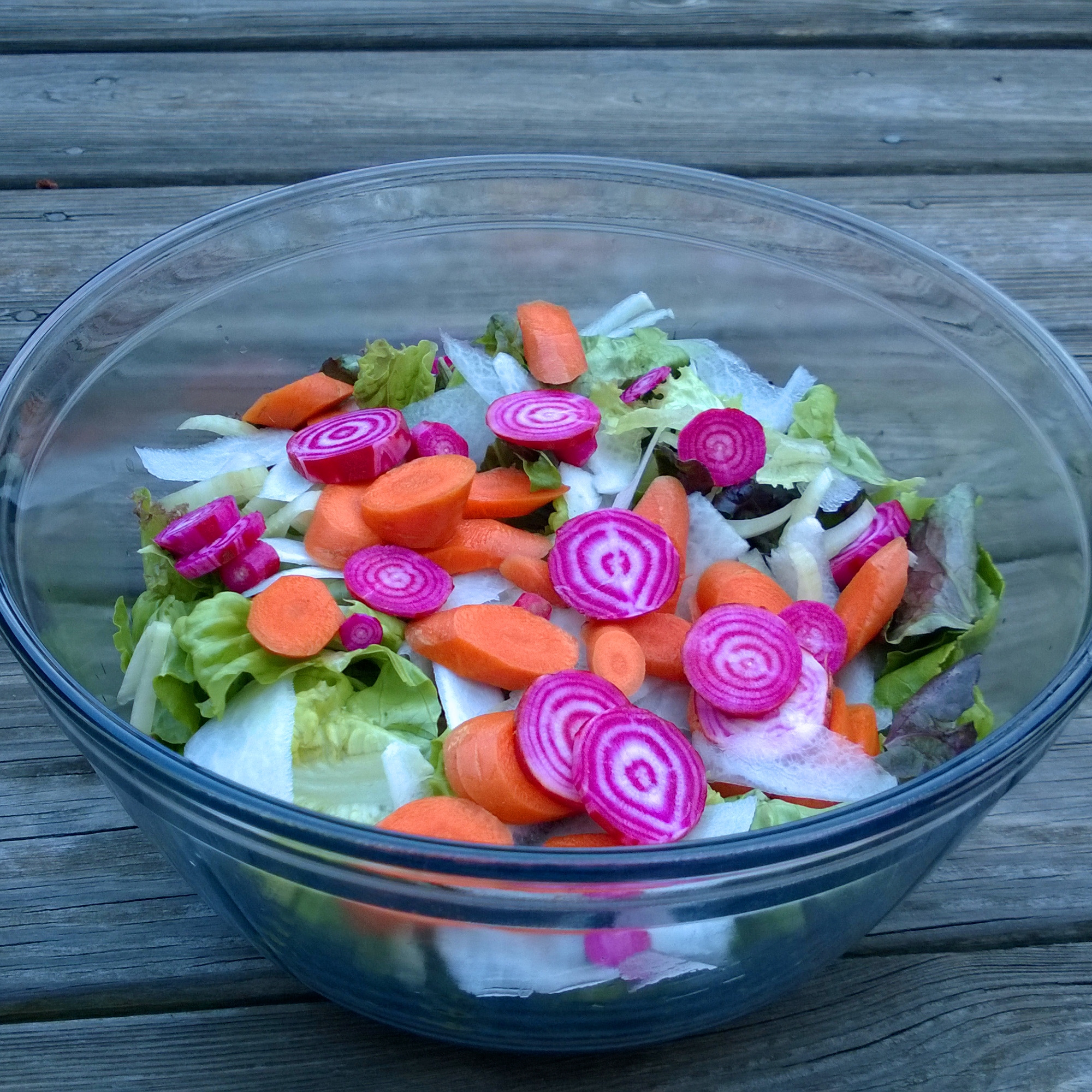 Colorful Salad_5